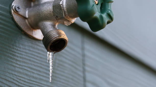 Best Local Plumber Services  in Holdrege, NE